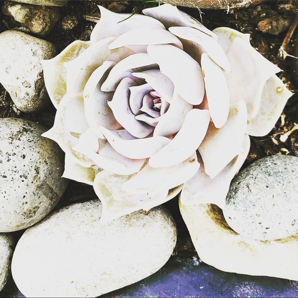 Meet the Posher Kasia - Picture 4 of 16